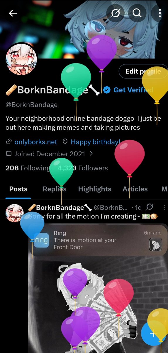 BorknBandage🦴🩹 tweet media