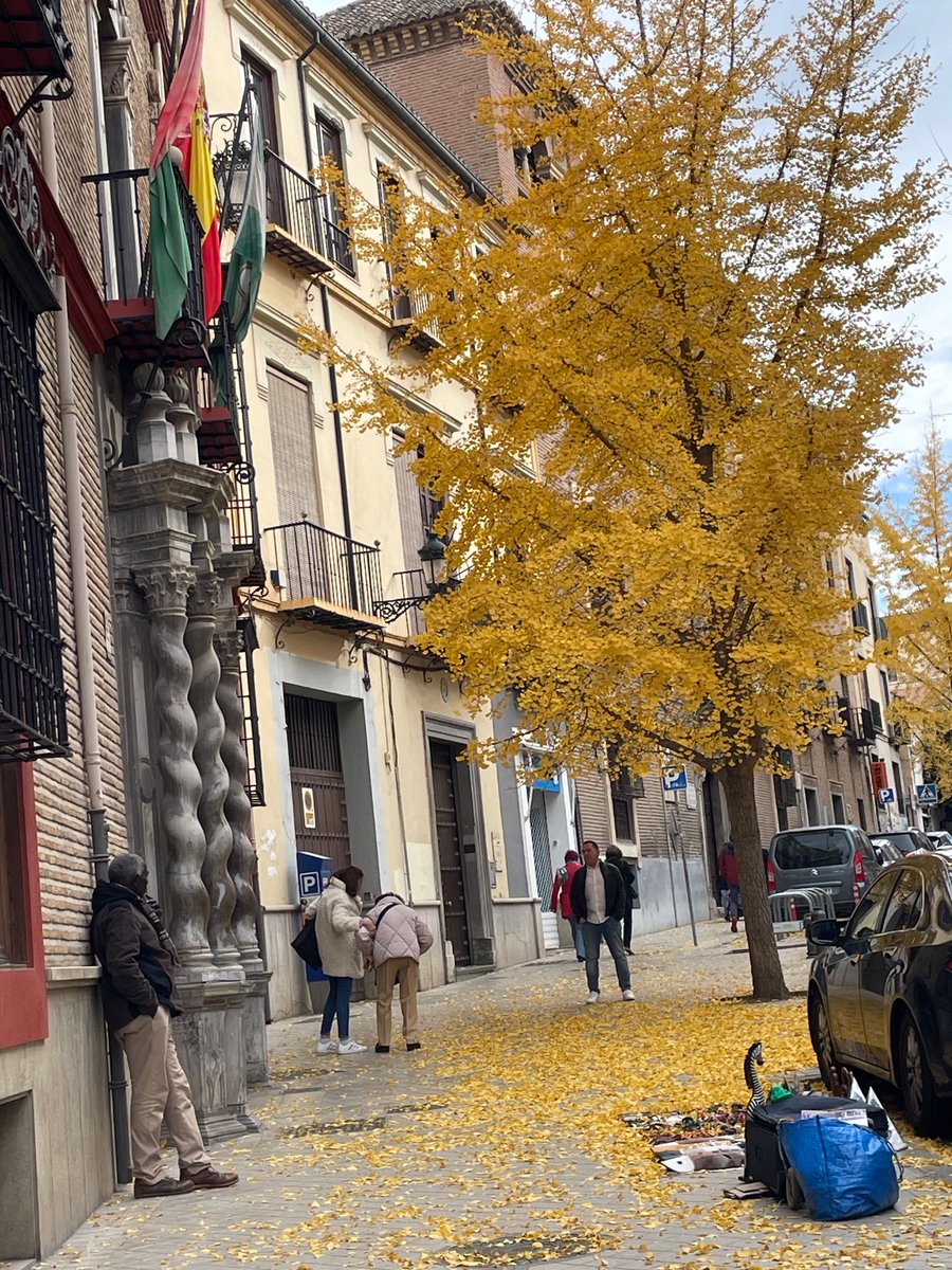 Çok sevdim bu şehri