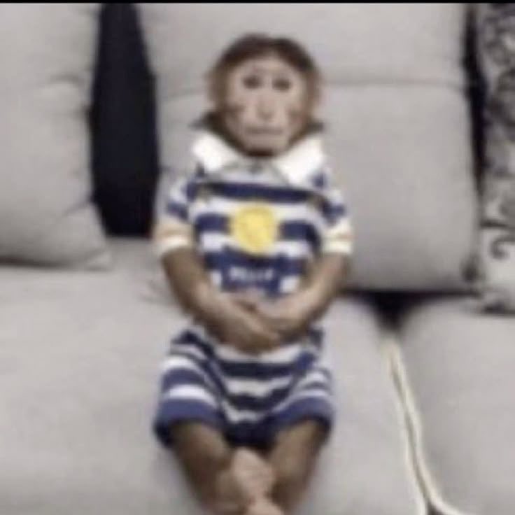 cuando me están hablando pero no entiendo nada porque disocio y me quedo así