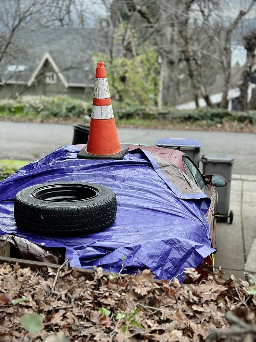 kalimoding's tweet image. leica ntx50 f2.0 (iphone 14 / leica app)