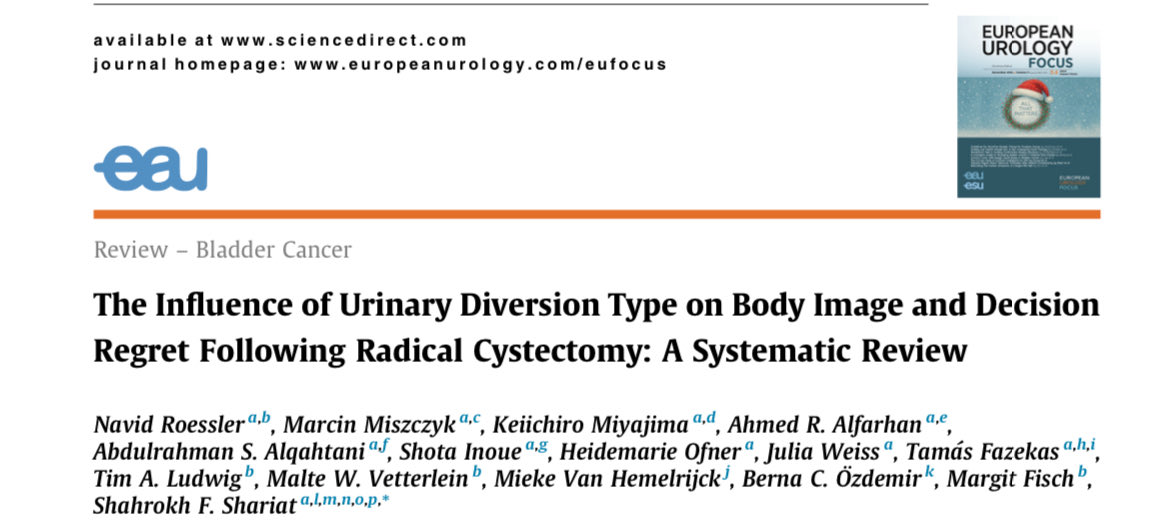 Navid Roessler tweet media