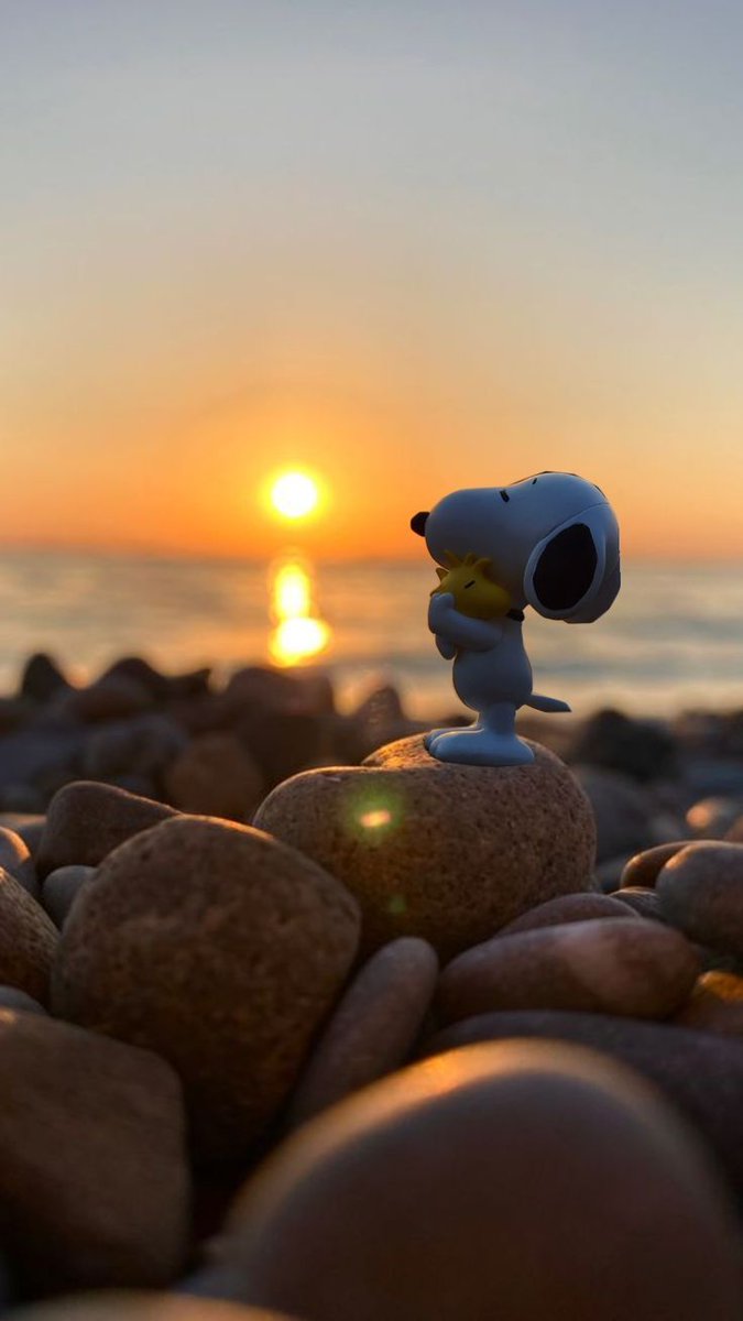 snoopyb047's tweet photo. Super cool 😎 https://t.co/ZnVwpgDrr5