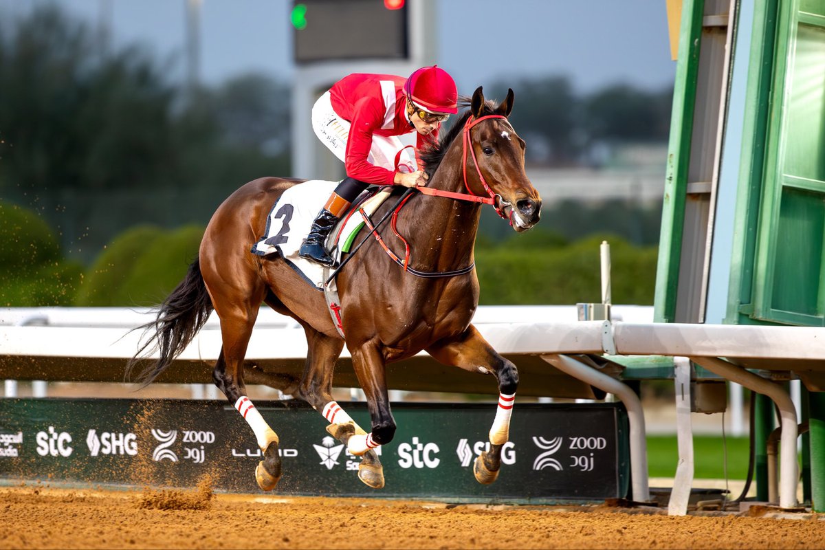 أبو حكيـــمـ tweet media