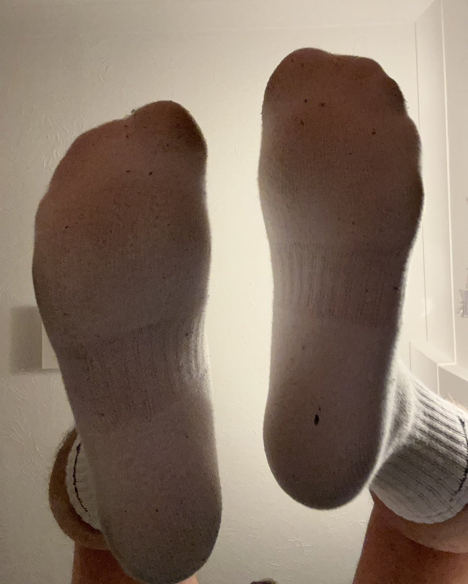 Norfolk Master tweet media