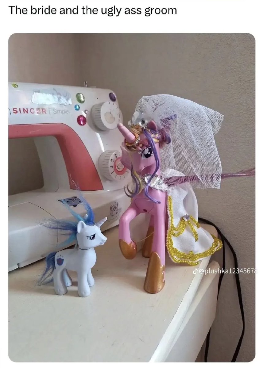 overlordpluto's tweet image. im gonna scream i thought they were gonna be the same size. metamy ass bride and ugly groom