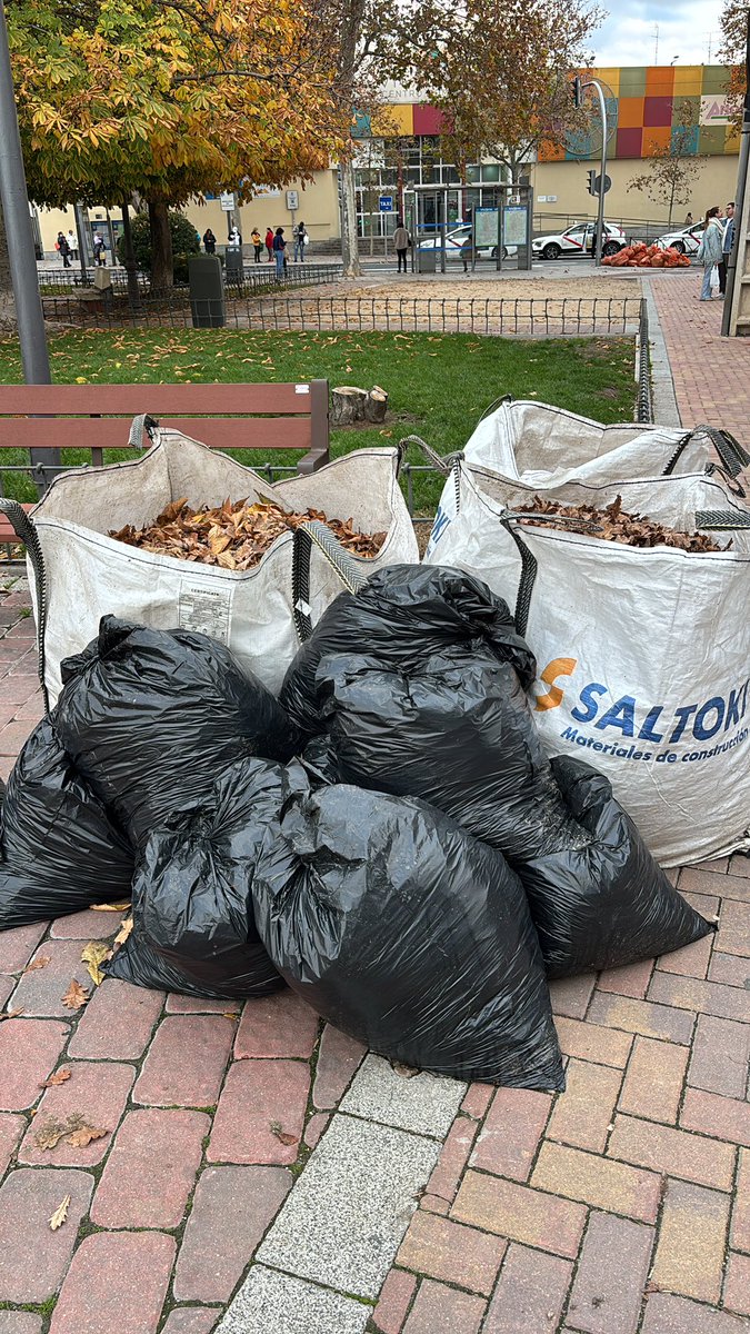 PSOEVicalvaro's tweet photo. ¿Que para qué sirven los plenos de Distrito?

Apenas 48 horas después de que pidiéramos una recogida de hojas caídas en Vicálvaro, así estaban los Jardines de las Brigadas Internacionales: por fin sin hojas acumuladas.

Muchas gracias a los servicios municipales por su trabajo. https://t.co/GoUgdQbClA