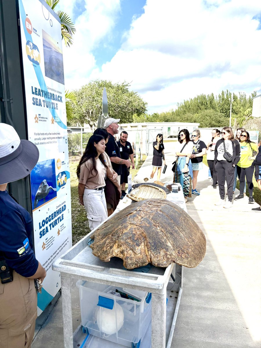 Kimberly Holley, Ed.S. tweet media