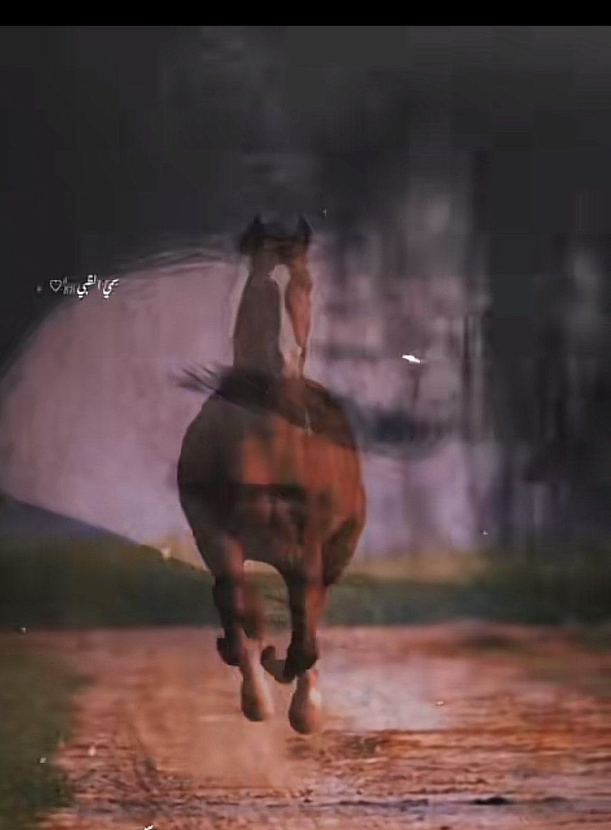 ﮼خالد﮼ ﮼khalid﮼ tweet media