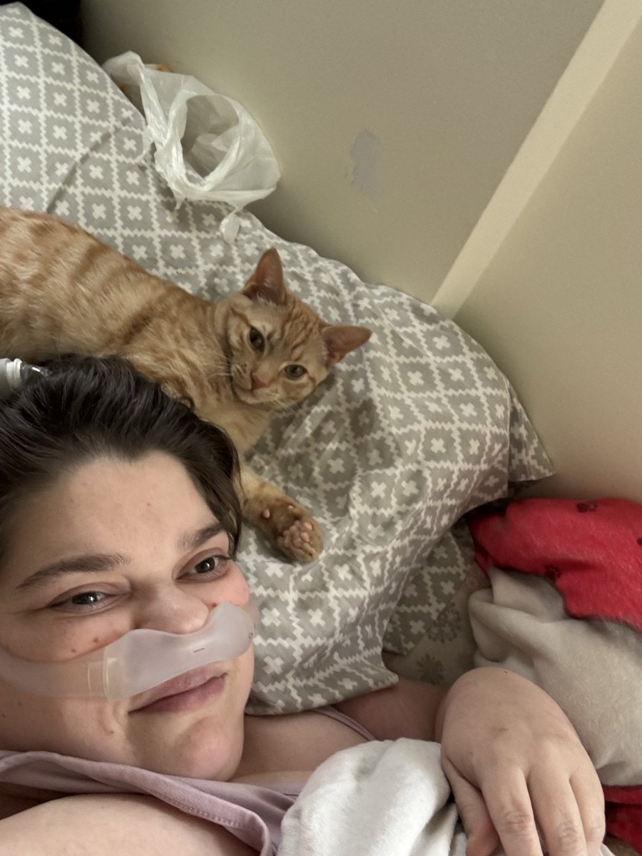 I’ve not been feeling well today. But Juju cuddles definitely help. He can be such a sweet boy when he wants to be!