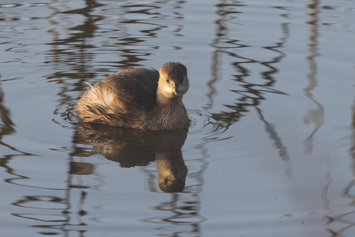 Greg Charman (@gregory_b_c) on Twitter photo 