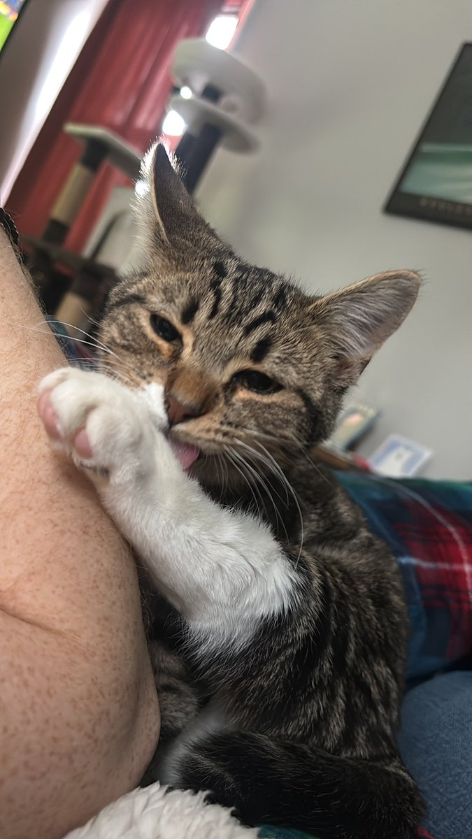 jack jones frew up yesterday