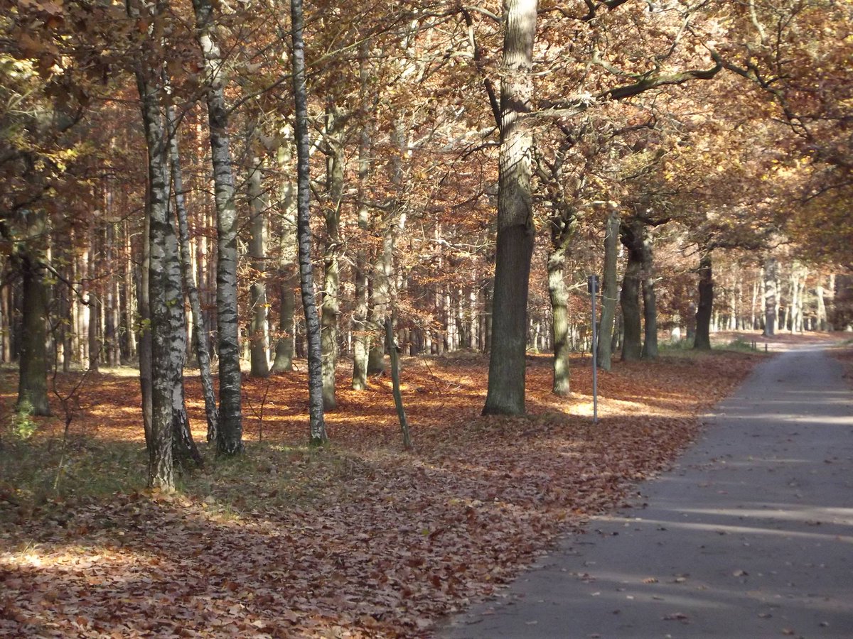 Michael Gerhard (@sturmlicht1) on Twitter photo 