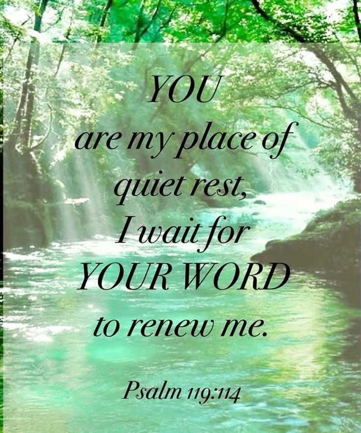 elviraamberg's tweet image. Heavenly Father, Thank you for the light and guidance found in your Word.
Help me to diligently study and meditate on your scriptures,
so that I may walk in your path.