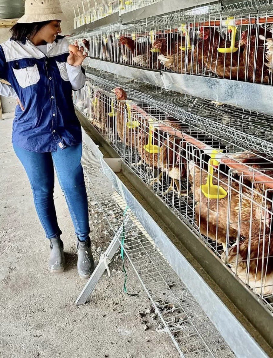 LeratoPillayZA's tweet photo. Meet Sne Ngubane a poultry farmer from Ekuthukuzeni in KZN who sells branded slaughtered chickens and branded eggs for a living. Someone brutally sabotaged her business 174 chickens were killed, 6 stolen and she left with 10 live chickens. 😭😭😭

7 days after entrepreneurs led by Calvin Ntenga launch social media campaign to assist her, R10260 was raised . She bought building materials in order to build a bigger and secured chicken house as she’s preparing to receive a big donation of 1 000 chicks🐥 and feed from Durban businessman Calvin Mathibeli.

☎️ 065 641 8261 / 067 213 5006
Facebook: Sne poultry Farm

A story of resilience. Blacks in business
