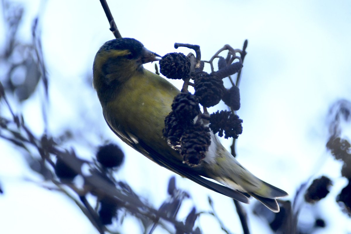 Phil Burnside tweet media