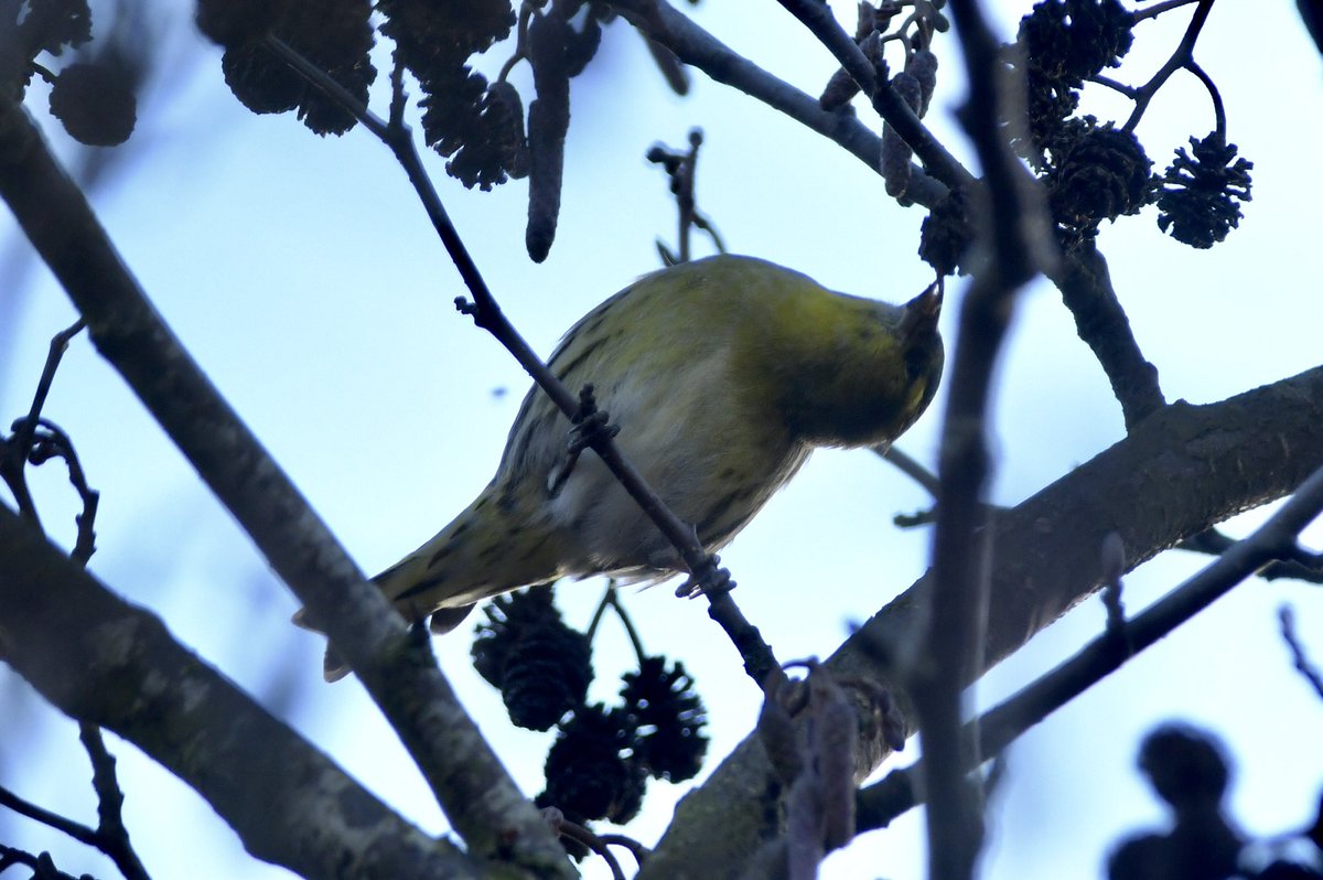 Phil Burnside tweet media