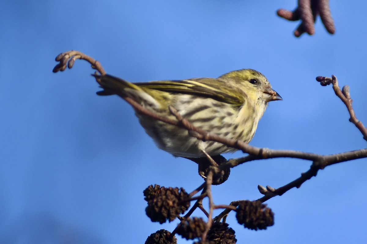 Phil Burnside tweet media