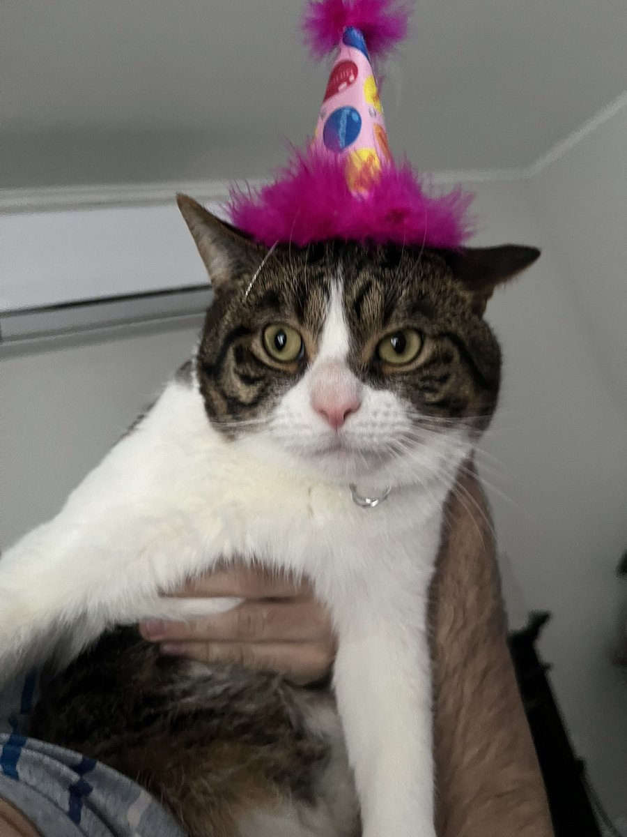 it’s roomba’s 2nd birthday 😭🩷