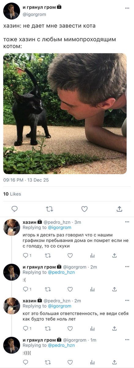 dashpeds's tweet image. 310