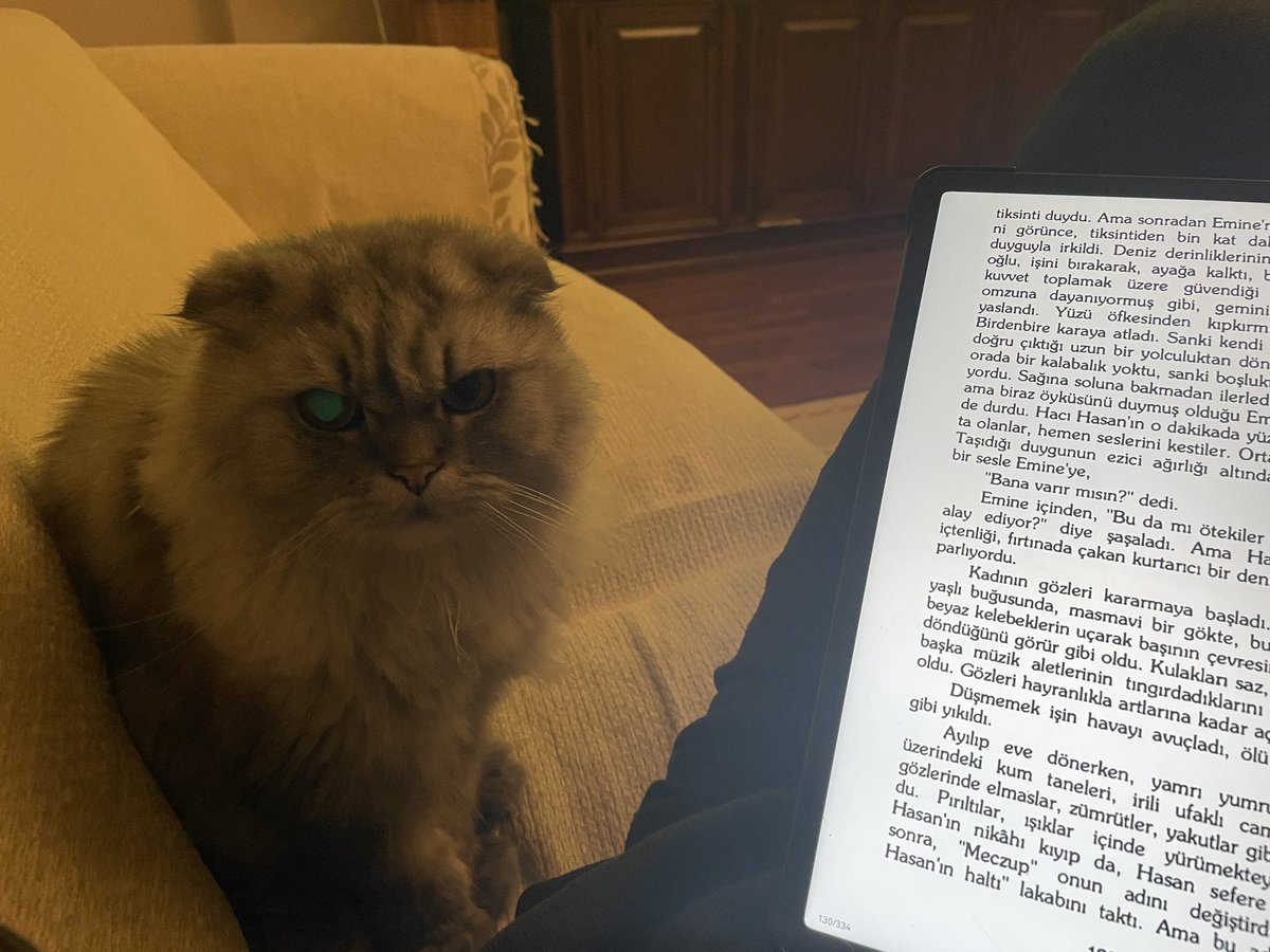 Cumartesi keyfi
🥰
antalyaspor – galatasaray erdal eren barış alper ekrem kaleci grup ilkay victor osimhen arda ünvay pozisyon ferdi sağlık hüseyin türkmen leroy sane mauro icardi Asena Keskinci #Jasmine Japonya #ANTvGS #ÇürükPortakal #KızılcıkŞerbeti  #Eskişehirspor #cumartesi