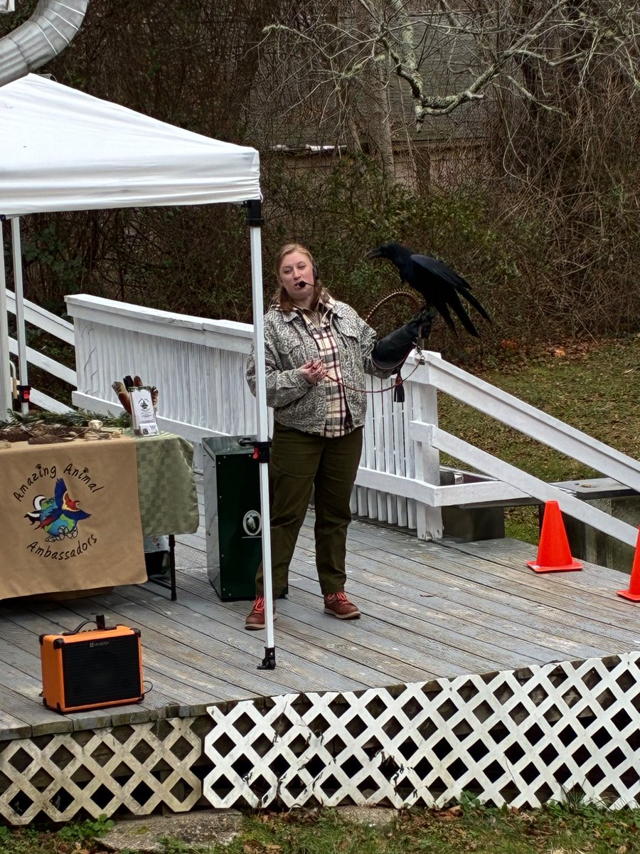CapeCodBars's tweet image. Was a wonderful opportunity to support the Cape Wildlife Center at their holiday open house and learn about animals and the work they do. #CapeCod #Barnstable