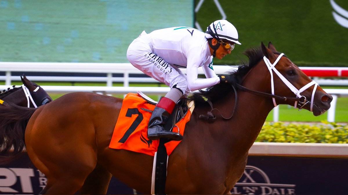 GulfstreamPark's tweet image. Jackson Hole powers home to score in race 4, ridden by @ljlmvel, trained by @PletcherRacing, owned by @WinStarFarm, CHC Inc., and First Go Racing, and bred by Springhouse Farm &amp;amp; Hunter Valley Farm. #GulfstreamPark #ChampionshipMeet