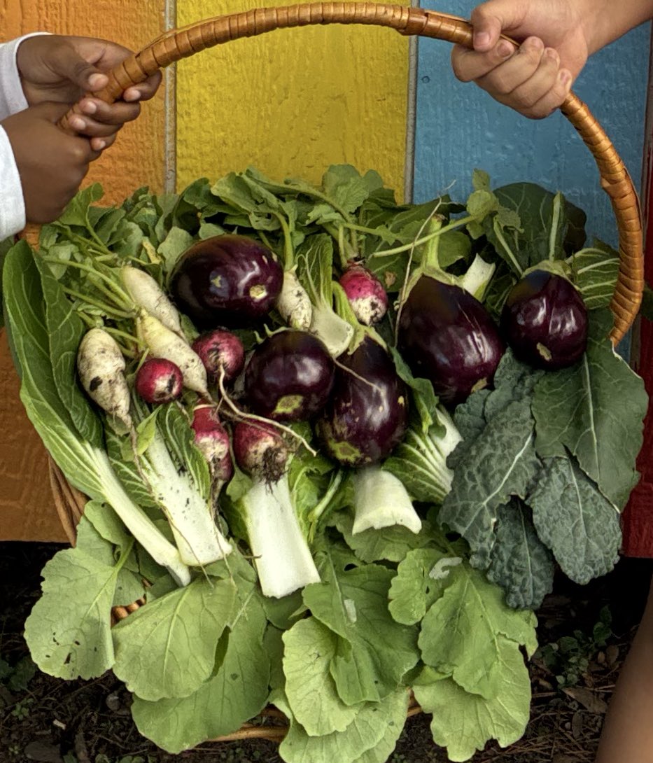 Angela Hoang tweet media