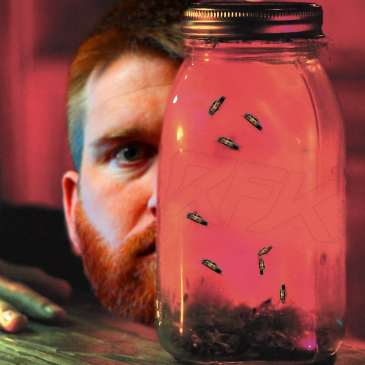 rotten bagel - jar of bueschers EP