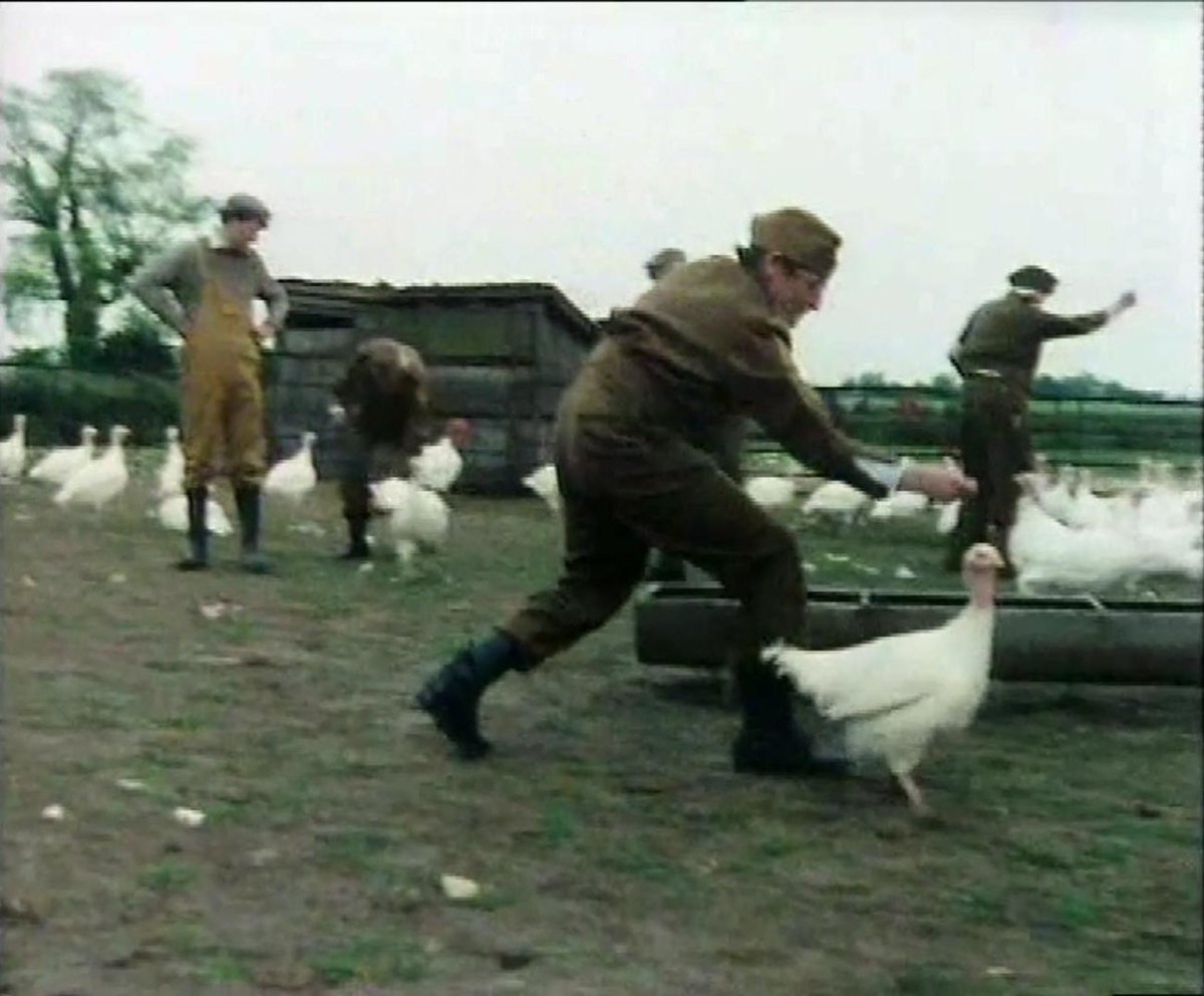 Private Joe Walker tweet media