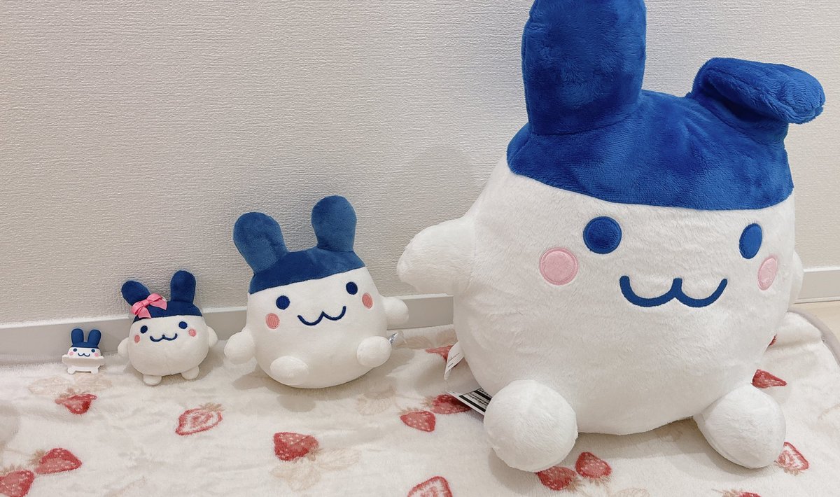 プチ→小→中→大 みみっち🎀🩵