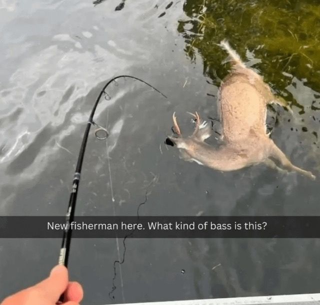 no context memes (@weirddalle) on Twitter photo 