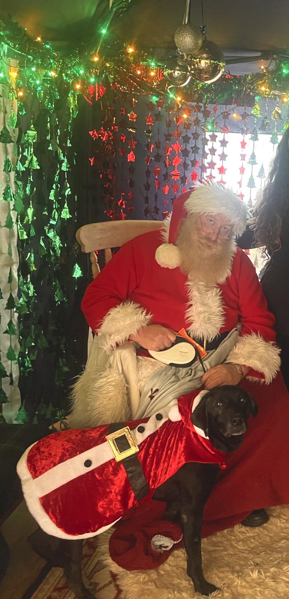 ⚽️Leo the Bangor dog🏴󠁧󠁢󠁷󠁬󠁳󠁿 tweet media