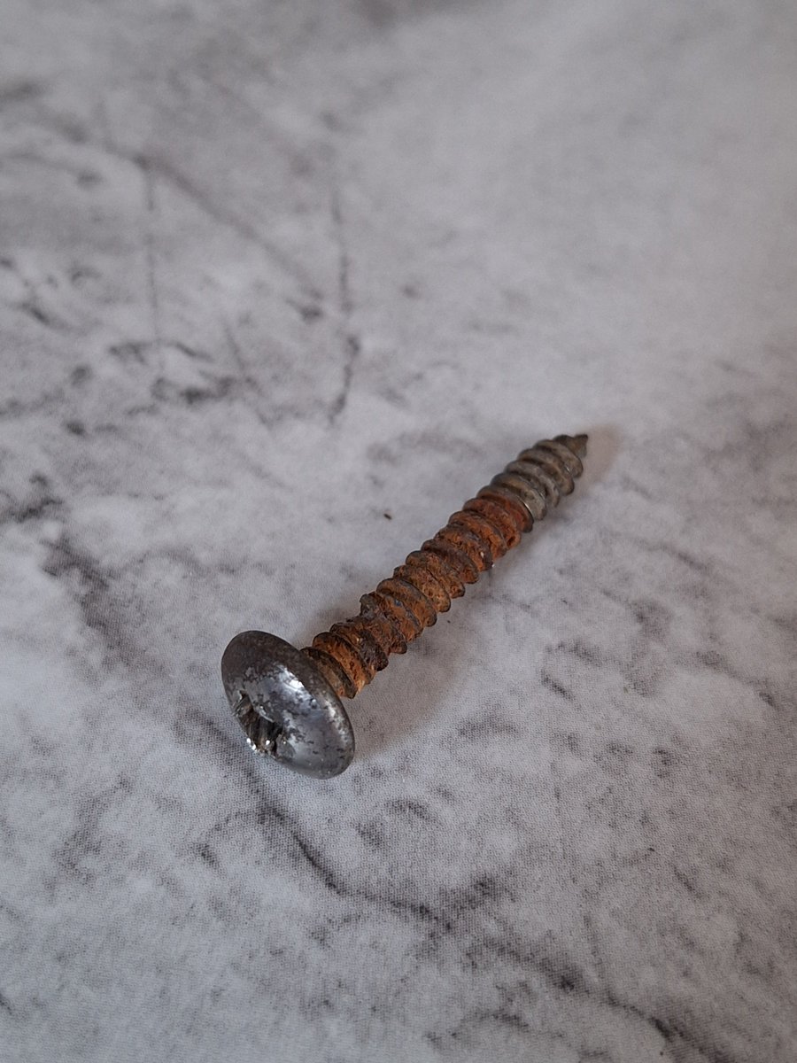 No Rain "The Bus" tweet media