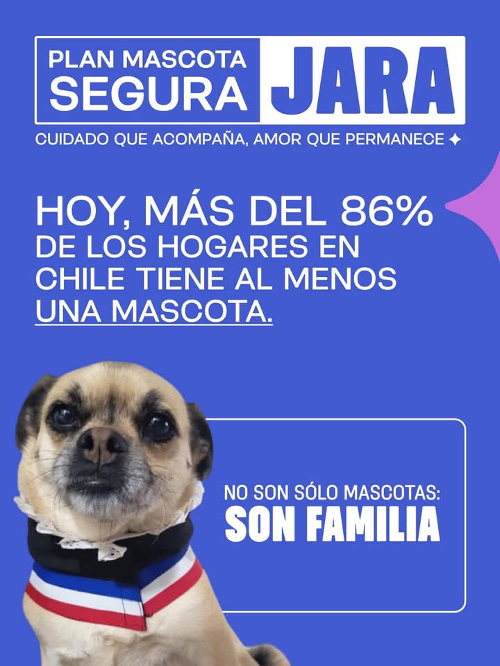 edgardogonza's tweet photo. #PorQuienVotar #ConJaraAunEstasATiempo #KastEsUnPeligroParaChile #EstoyConJara https://t.co/A3RSsdsikd