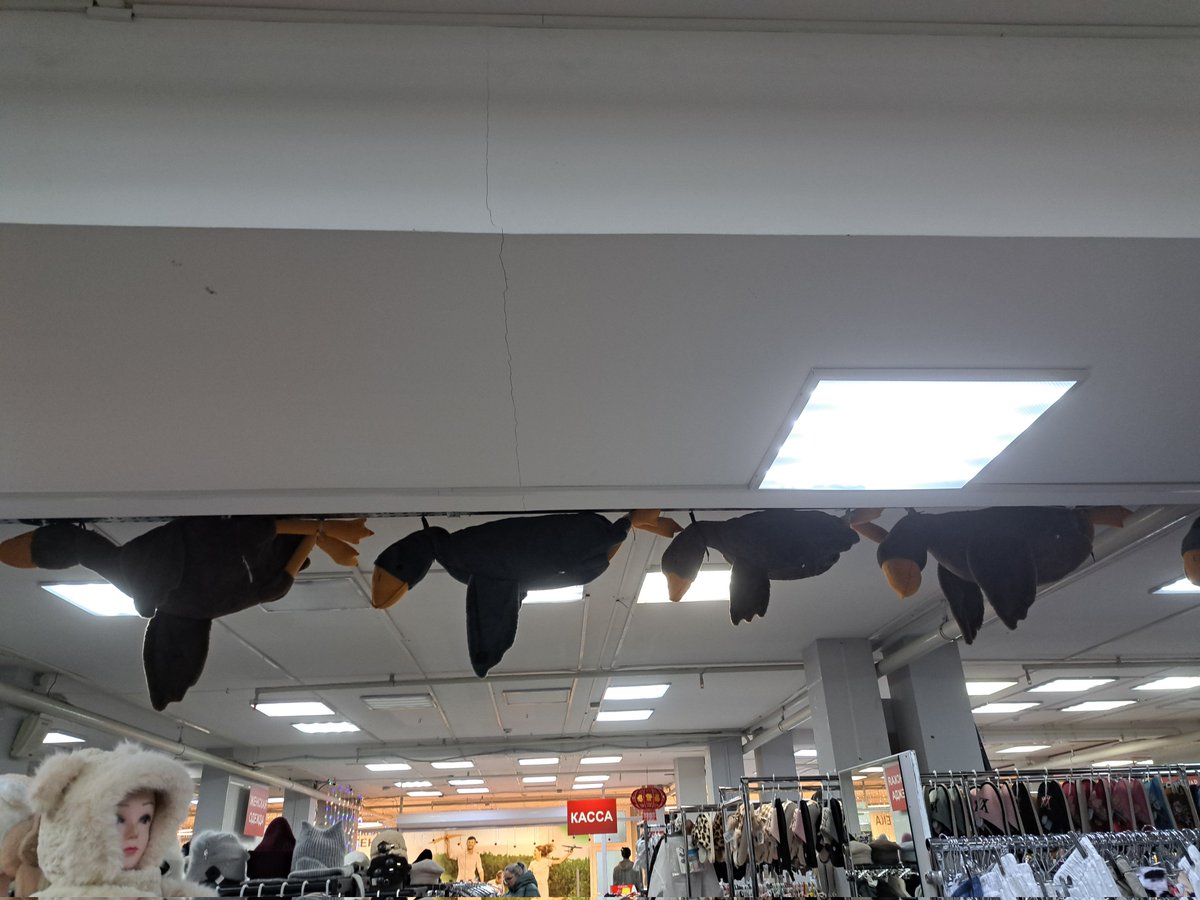 Полетели... полетели...