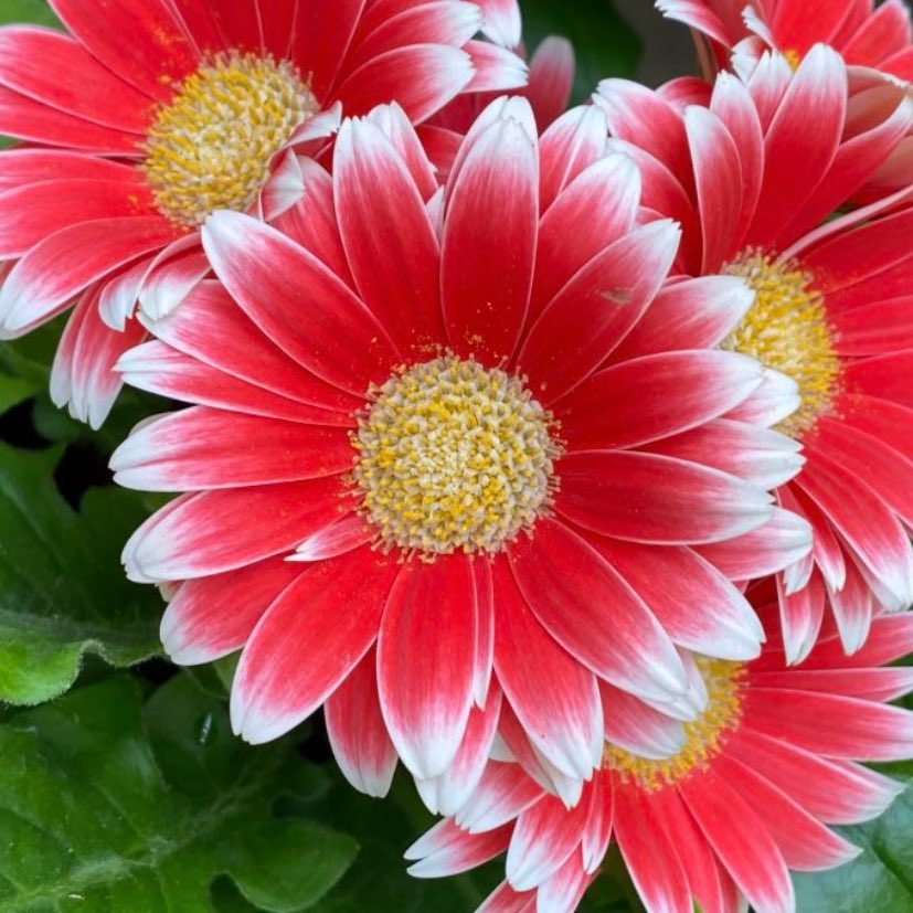 ひろみ 🦋 (@u90pVKxMdO9ffre) / Posts / X