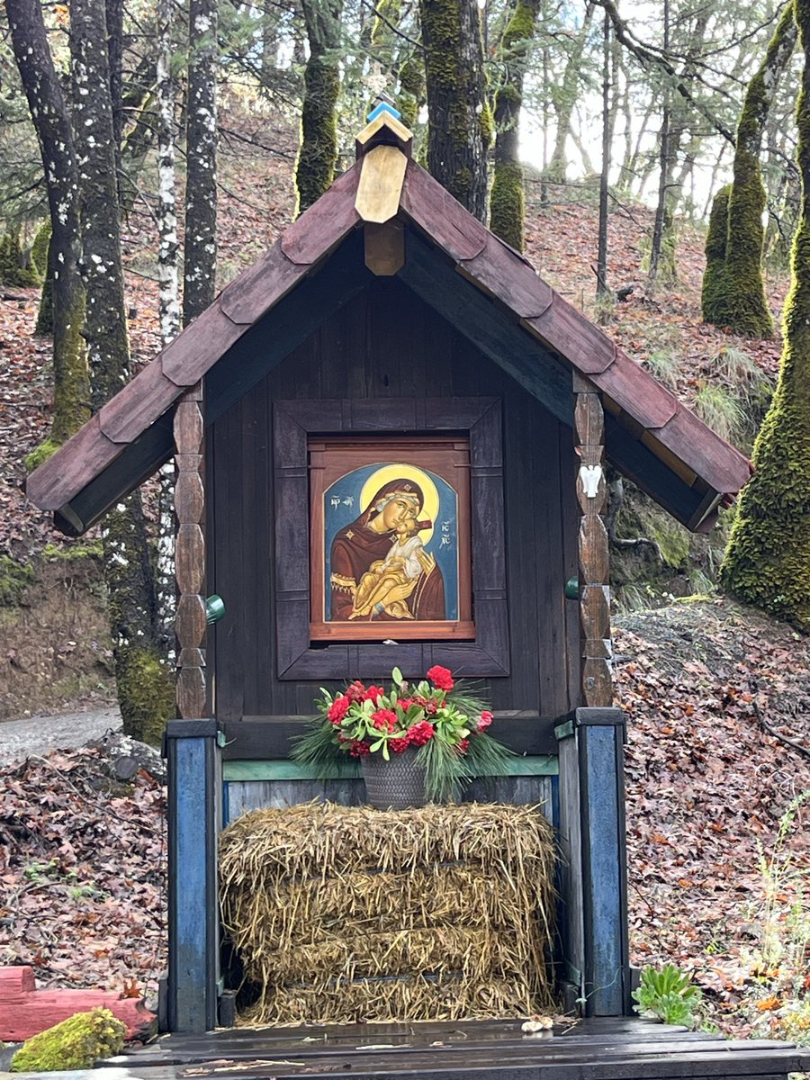 chasingdomes's tweet image. Holy Transfiguration Monastery in Redwood Valley, CA