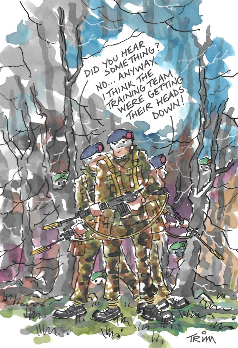 Bob Trim Limmer tweet media