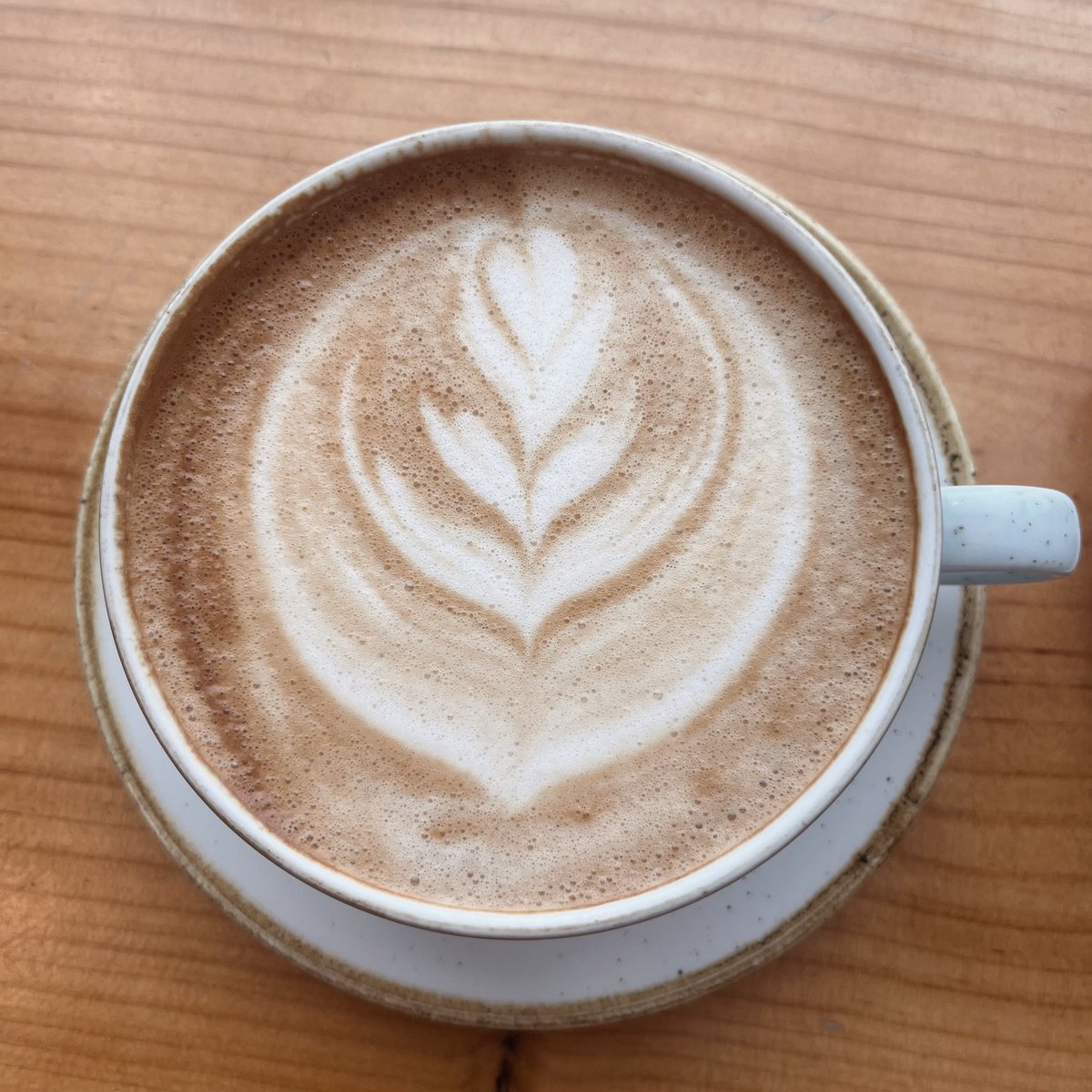 FrillyVT's tweet image. Today’s coffee ☕️🤍