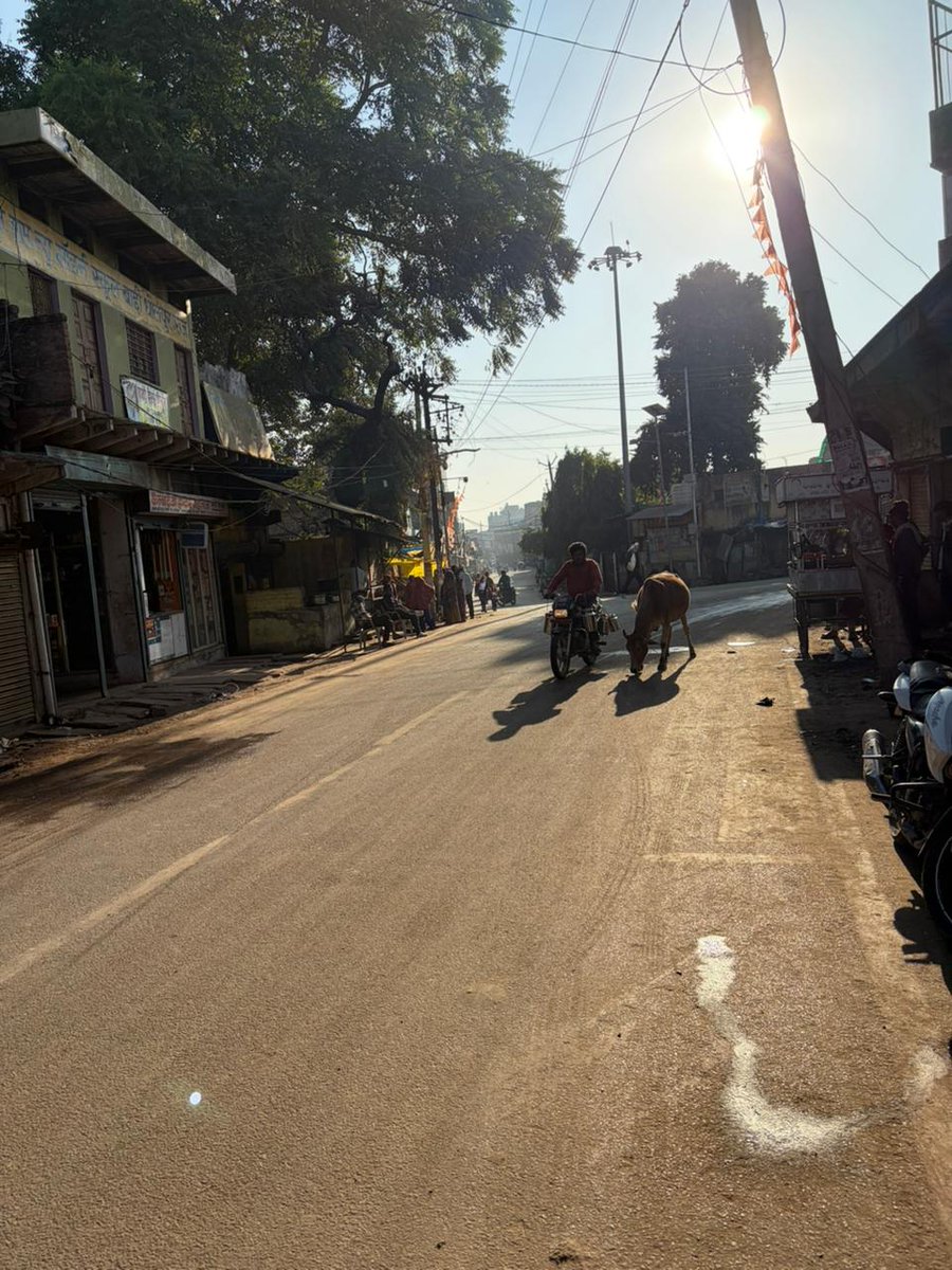 इस फोटो मैं कितने जानवर हैं?