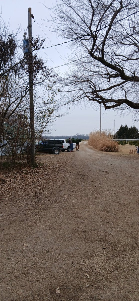 Mark Voth tweet media