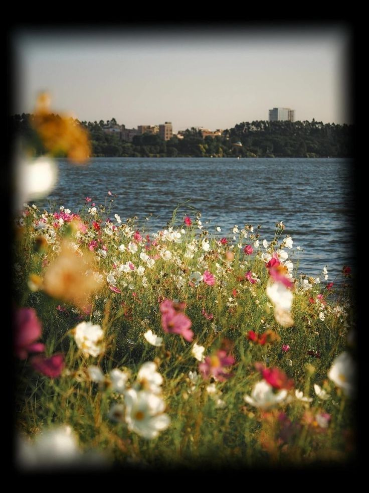 greenvibe's tweet image. 