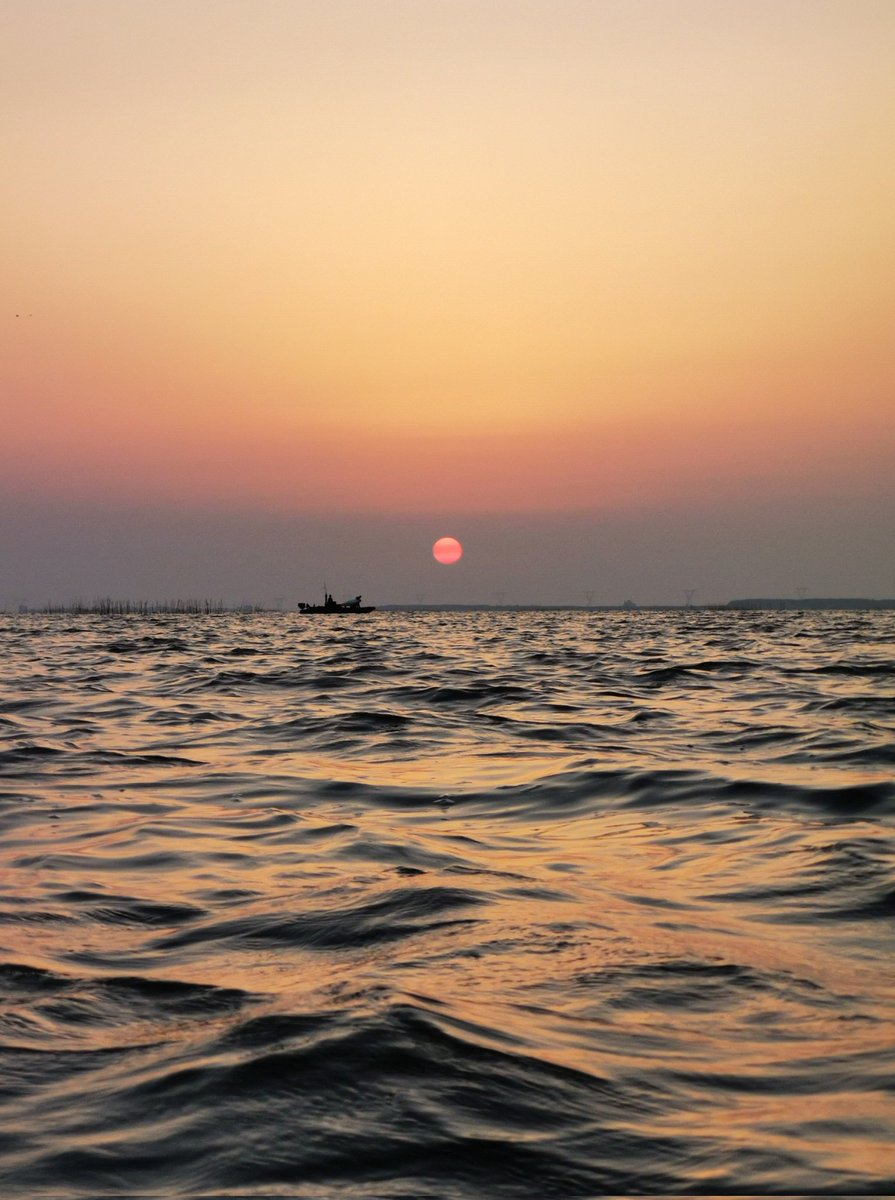 نبيه (@mohamednabih72) on Twitter photo 