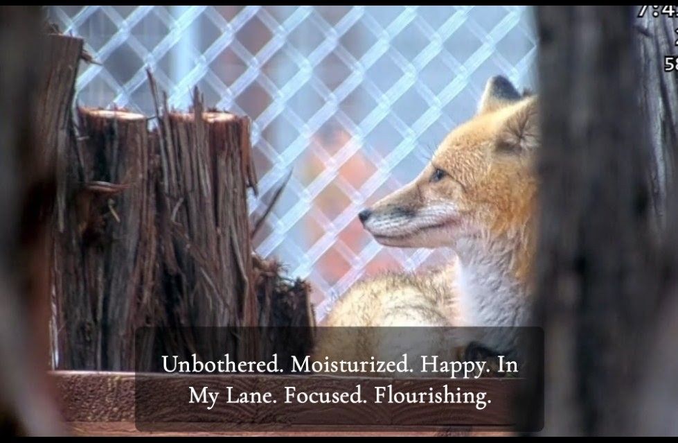 daph ◡̈ tweet media