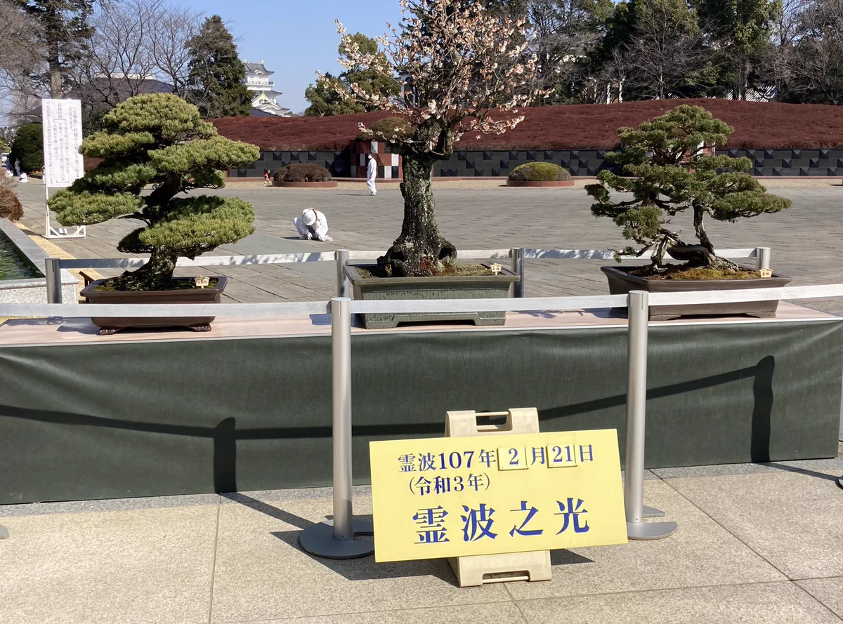 どさんこ on X: 