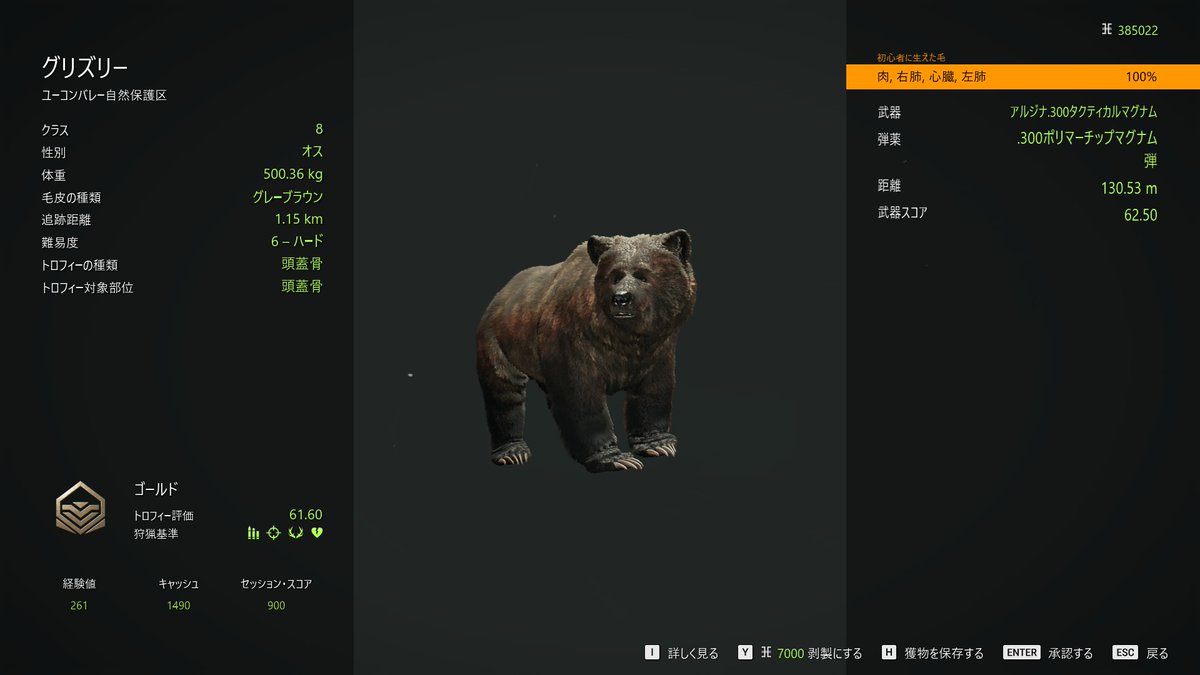 今回配信中クマ祭でゴールドスコア2人目クマさん🐻 朝のクマさん