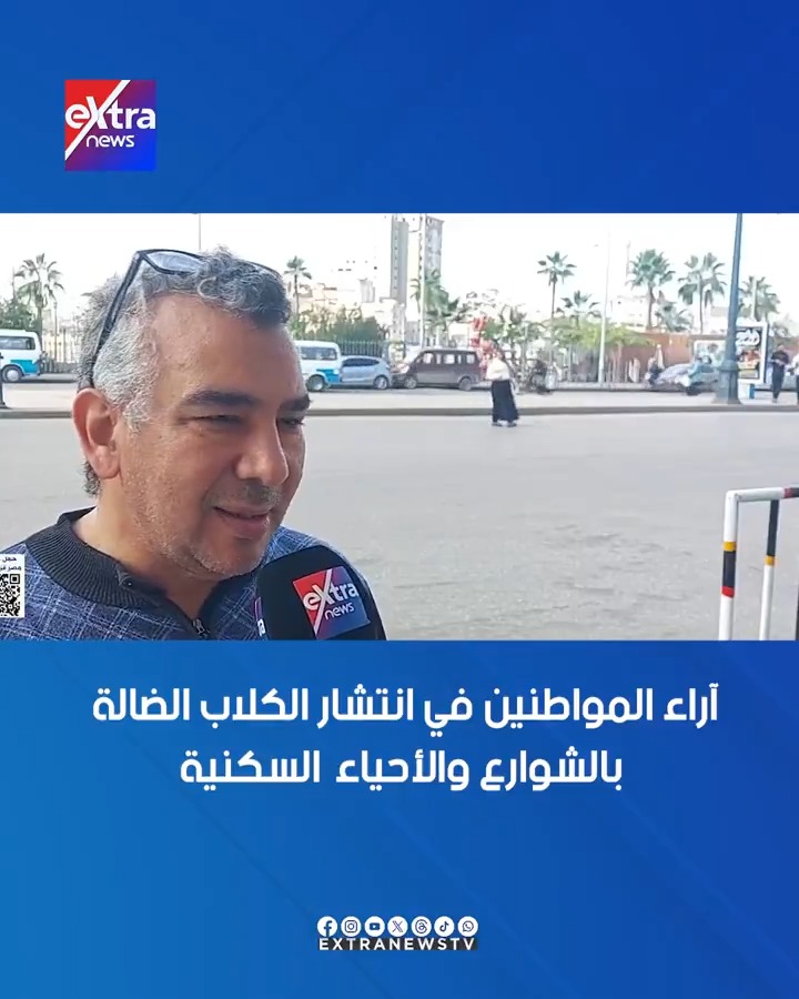 آراء المواطنين في انتشار الكلاب الضالة بالشوارع والأحياء السكنية #أحداث_الساعة 