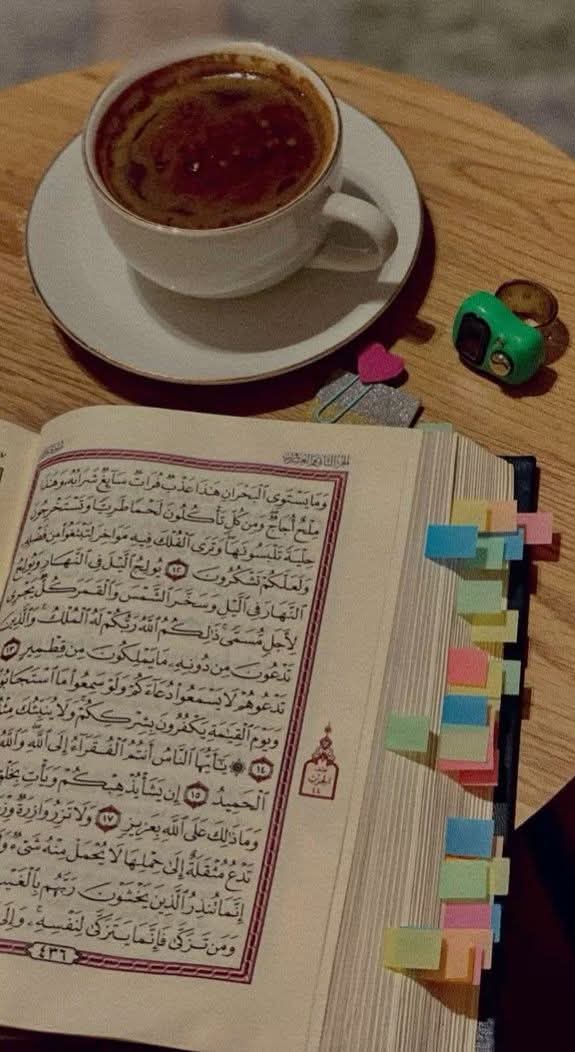 أبشر ياحافظ القرءان
فصوتك الذى يذهب ويتقطع وأنت تردد الآيات .
نومك الذى تغالبه من أجل القرءان .
المخرج الذى تعبت فى تصحيحه .
الخطأ الذى اجتهدت فى تصويبه .
توجيهات معلمك التى تشق عليك أحيانا
(فخّم، قلقل،  تأن ، زد فى الغنه ، اعد القراءة )
أتحسبه هينا عند الله ؟