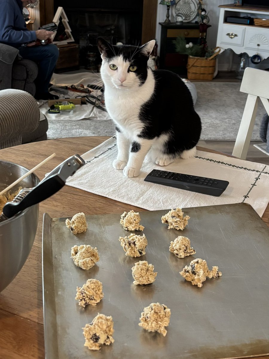 LindstheReader's tweet image. My Nana said I’m the best cookie maker helper she’s ever had!  ~ Vilma 🐾