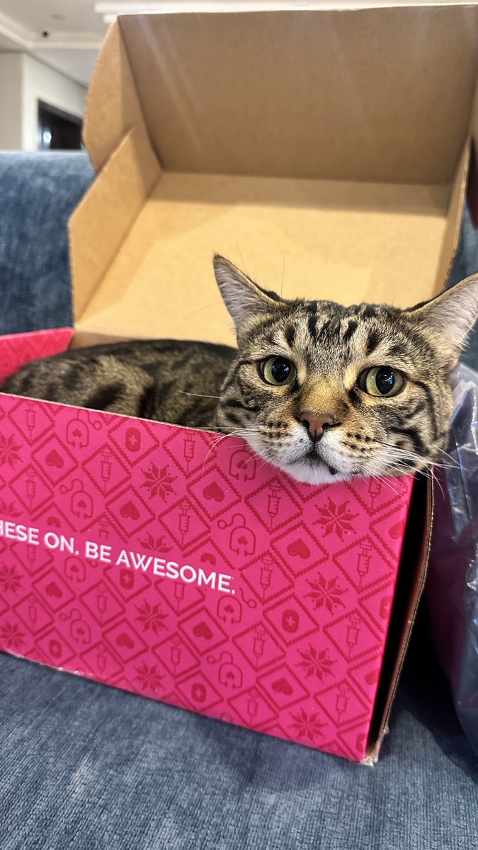 You 🫵🏽 buy scrubs for work…Taz sleeps ON them (not a single thought behind those eyes)…